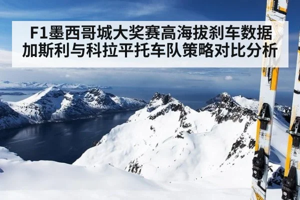 F1墨西哥城大奖赛高海拔刹车数据加斯利与科拉平托车队策略对比分析（jiuyou game）
